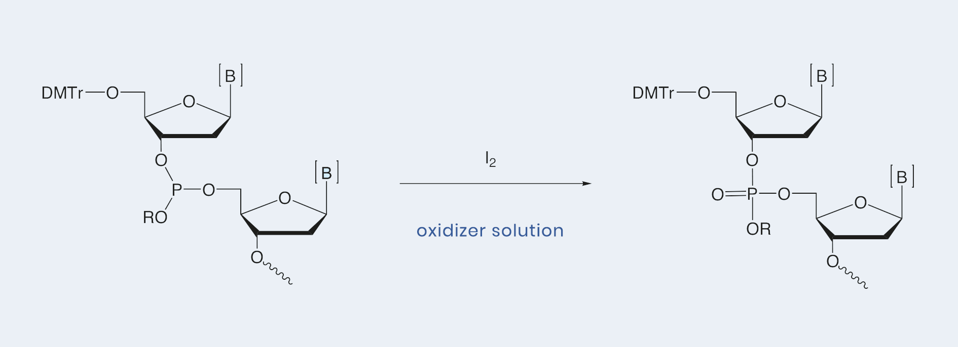 Emp BIOTECH GmbH | Oligonucleotide Synthesis Reagents